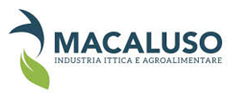macaluso
